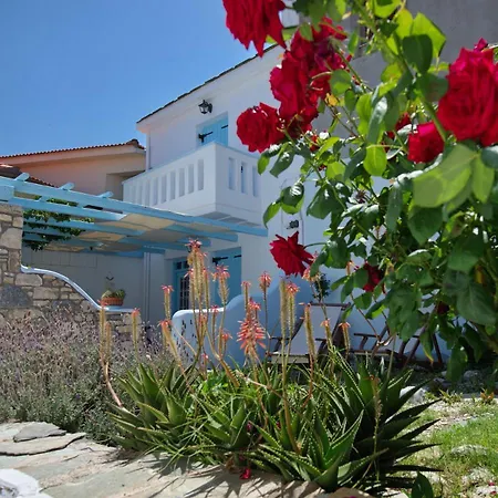 Stella's Traditional House.