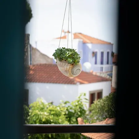 Vila Stella's Traditional House. Alónnisos